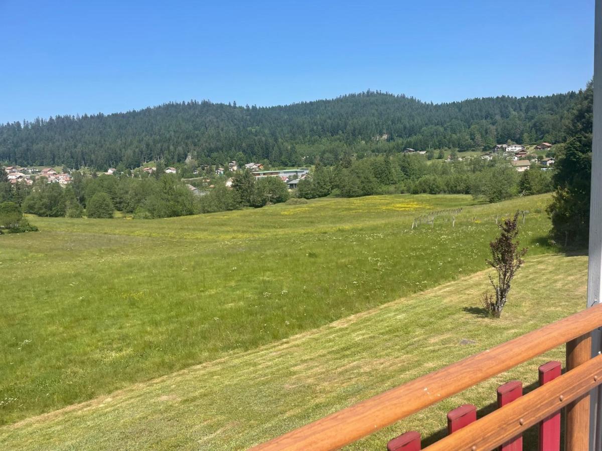 Chalet Le Cedre Bleu 10 P - 10 Min De Gerardmer 勒索里 外观 照片