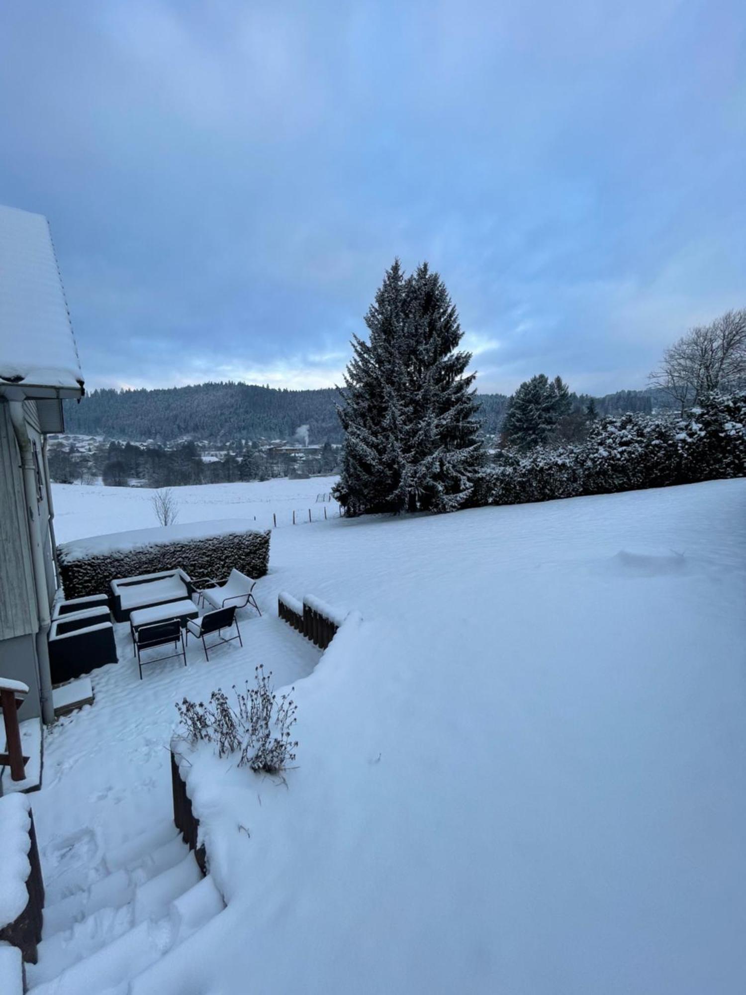 Chalet Le Cedre Bleu 10 P - 10 Min De Gerardmer 勒索里 外观 照片