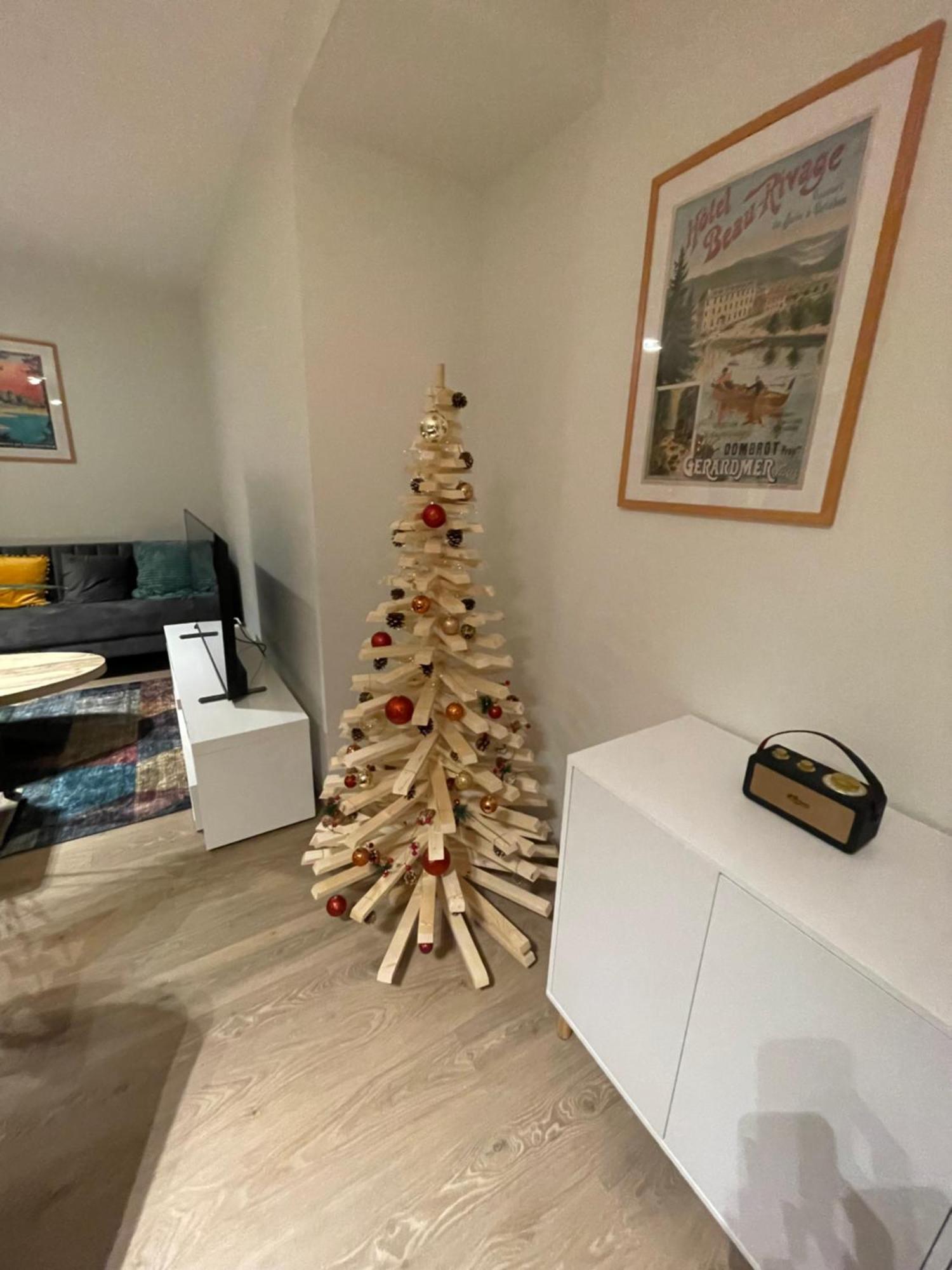 Chalet Le Cedre Bleu 10 P - 10 Min De Gerardmer 勒索里 外观 照片
